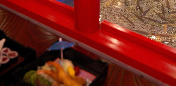 いけすをのぞくお席